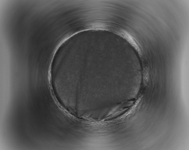X0000093460944200711091547