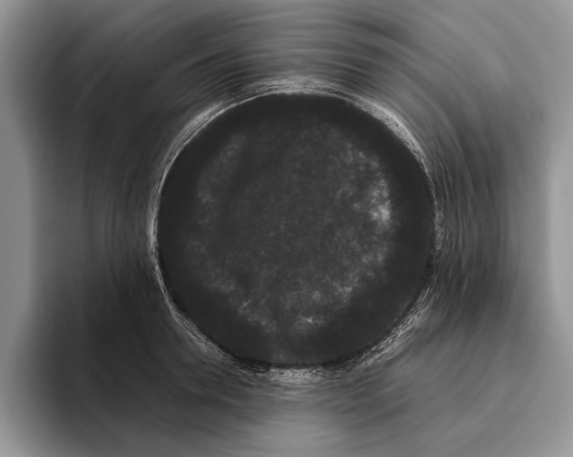 X0000093460946200711091547