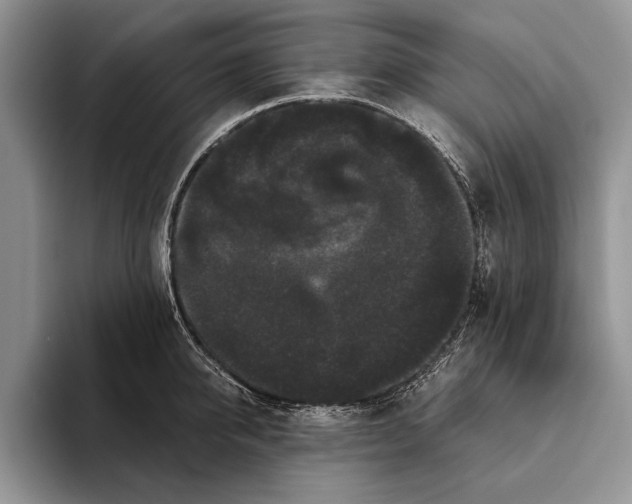 X0000093460950200711091547