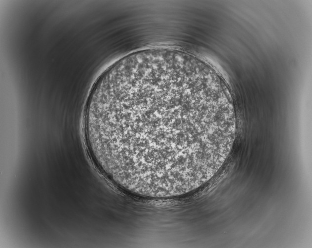 X0000093460952200711091547