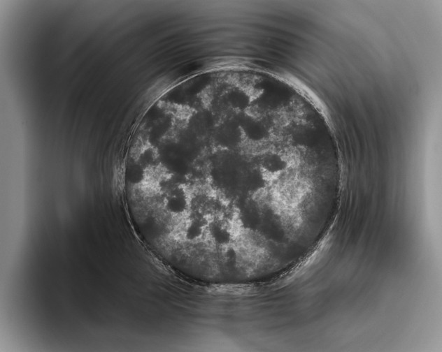 X0000093460953200711091547