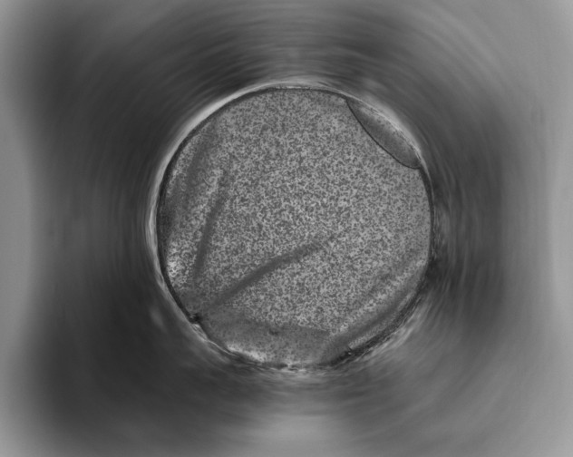 X0000093460959200711091547
