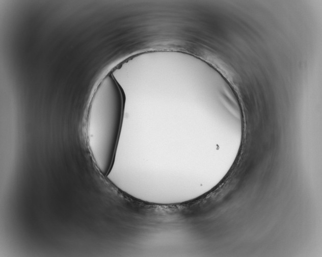 X0000093460960200711091547