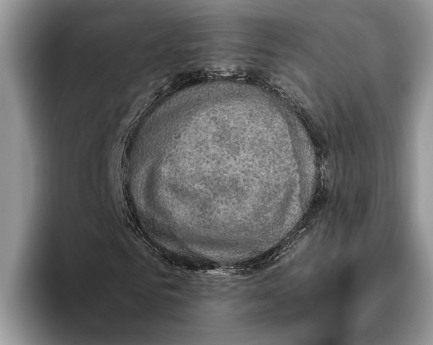 X0000093460961200711091546
