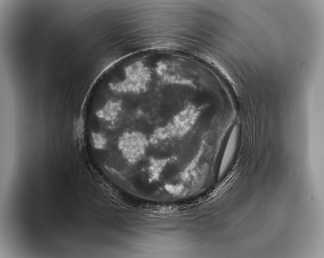 X0000093460975200711091546
