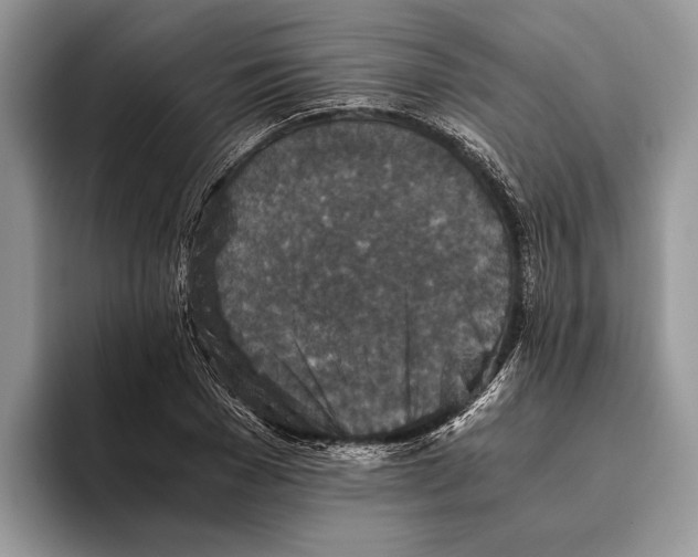 X0000093460977200711091546