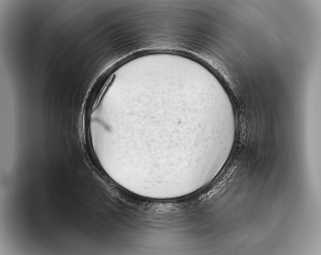 X0000093460982200711091546