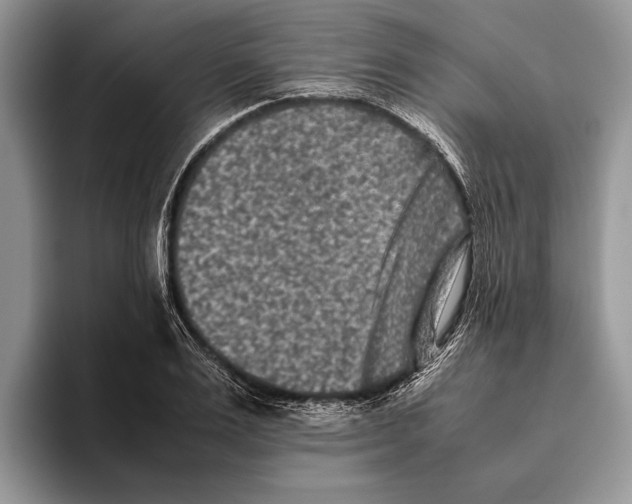 X0000093460983200711091546