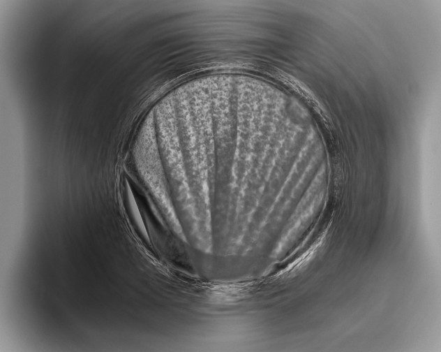 X0000093460985200711091546