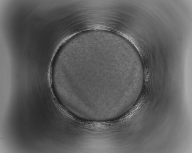 X0000093460987200711091546