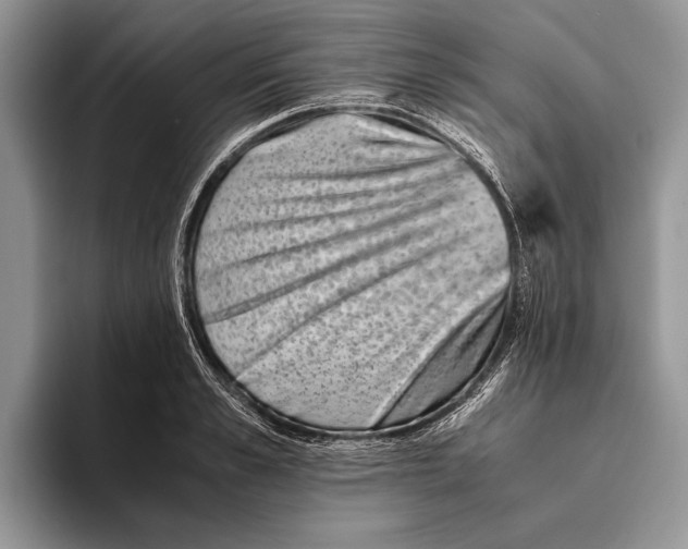 X0000093460989200711091546