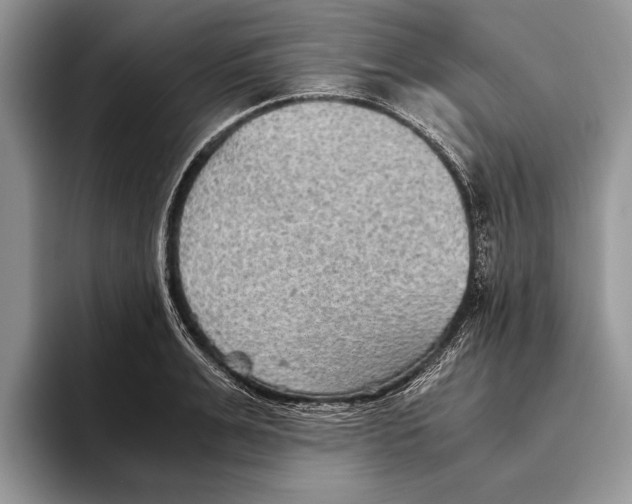 X0000093460991200711091546
