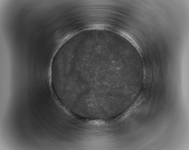 X0000093460994200711091546