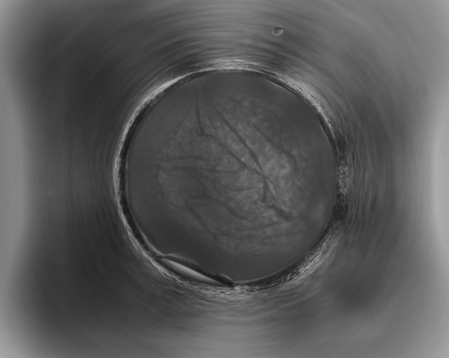 X0000093460995200711091546