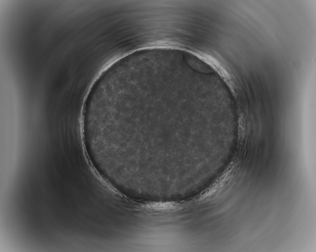 X0000093460998200711091546