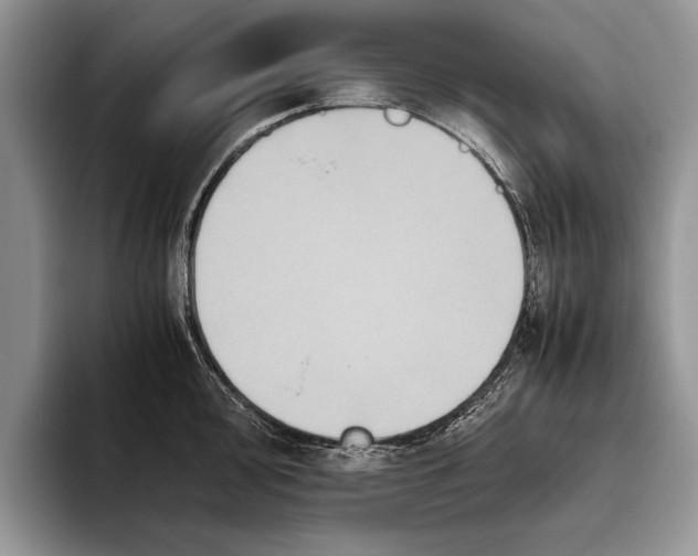 X0000093461000200711091546