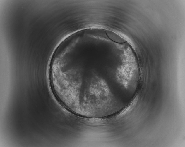 X0000093461007200711091546