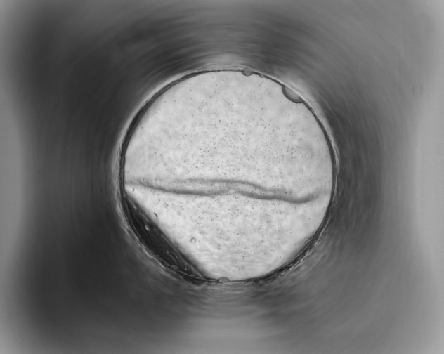 X0000093461008200711091546