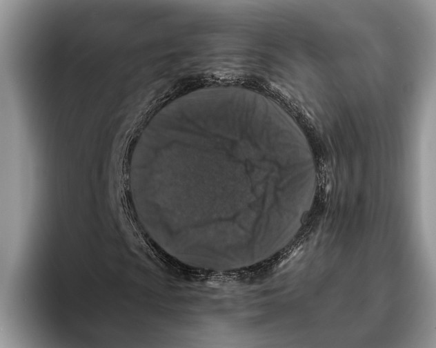 X0000093461009200711091545
