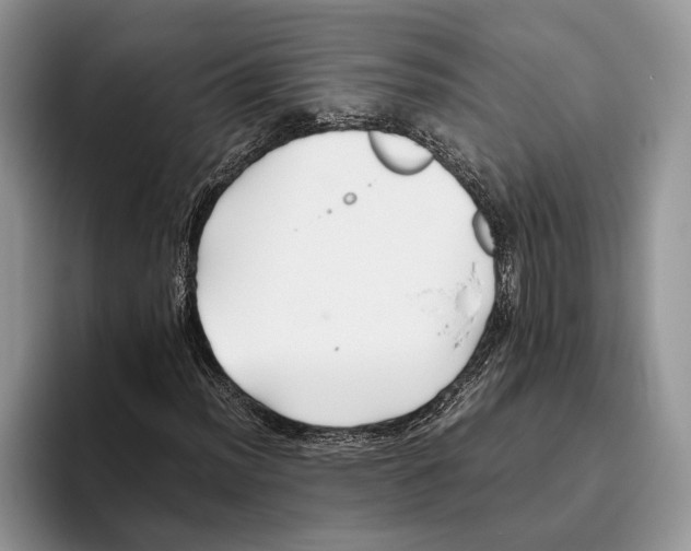 X0000093461012200711091545
