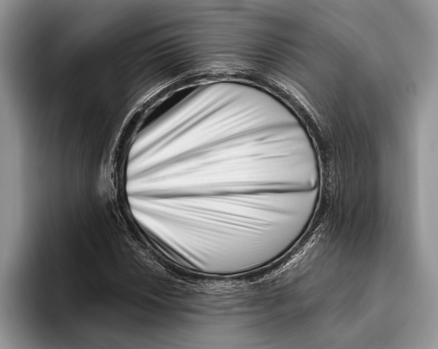 X0000093461018200711091545
