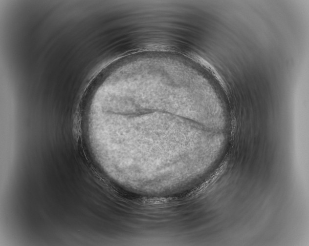 X0000093461019200711091545