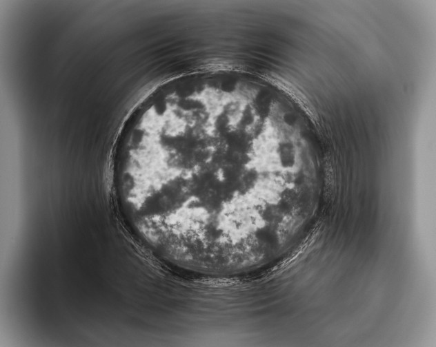 X0000093461023200711091545