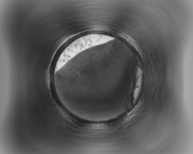 X0000093461024200711091545