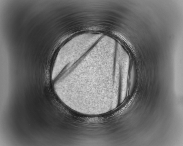 X0000093461025200711091545