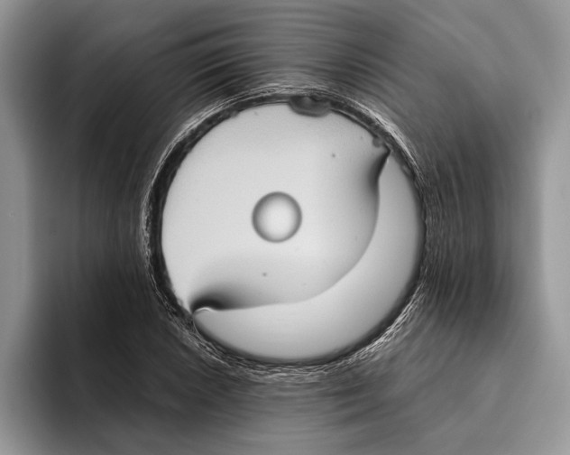 X0000093461026200711091545
