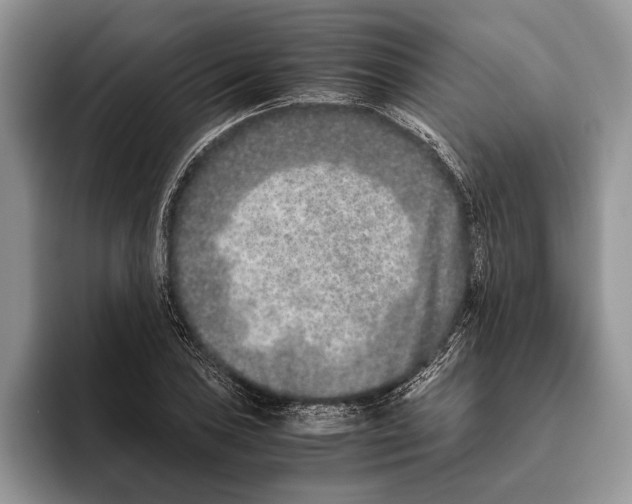X0000093461027200711091545