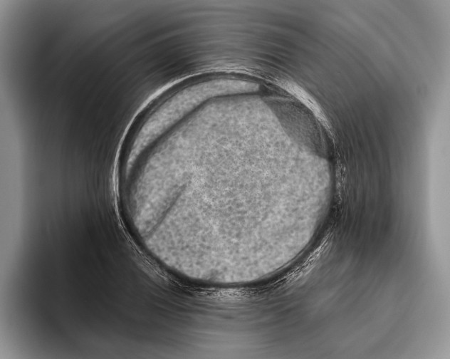 X0000093461028200711091546