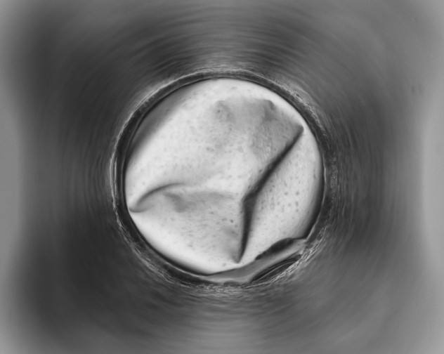 X0000093461030200711091546