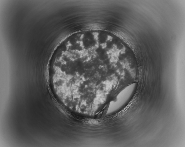 X0000093461031200711091546