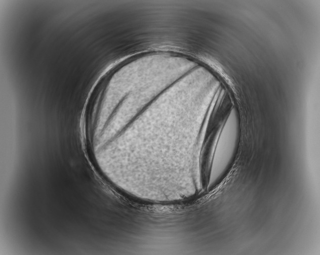 X0000093461032200711091546