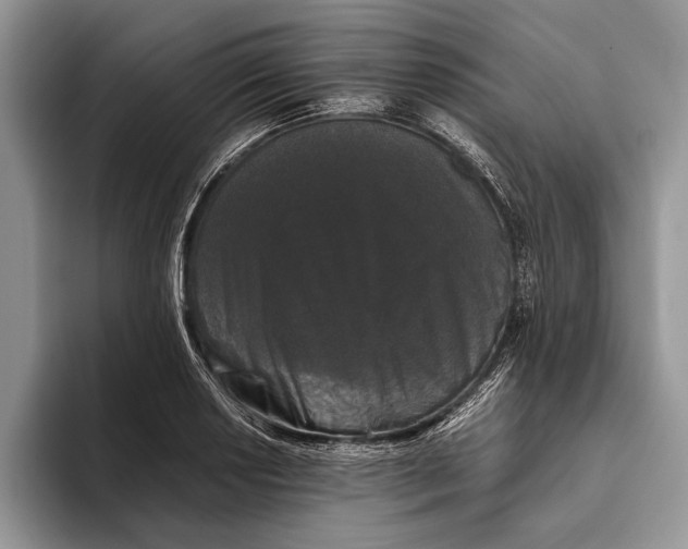 X0000093461034200711091546