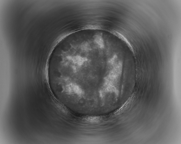 X0000093461035200711091546