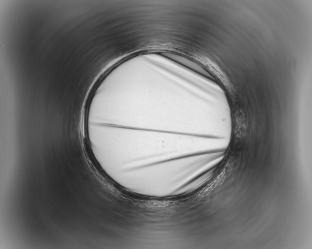 X0000093461036200711091546