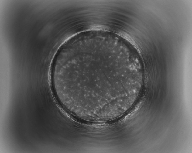X0000093461037200711091546