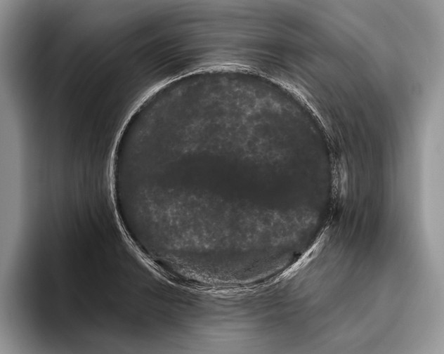 X0000093461038200711091546