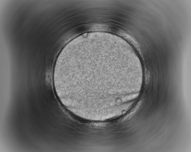 X0000093461041200711091546