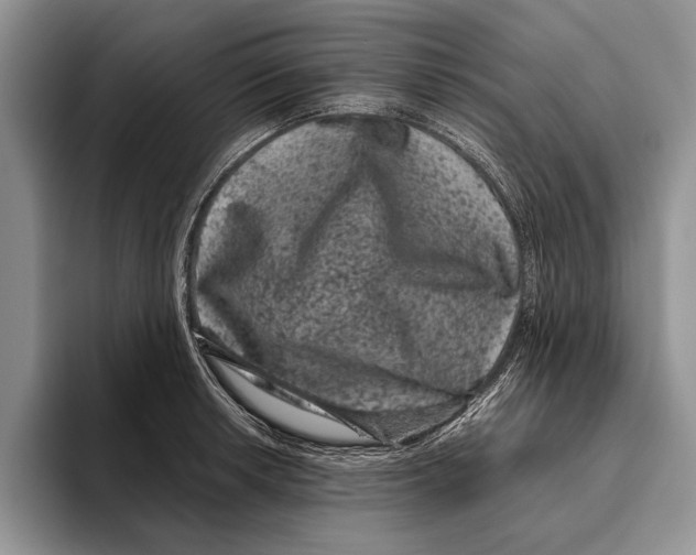X0000093461042200711091546
