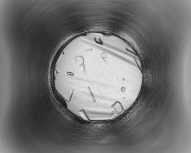 X0000093461043200711091546