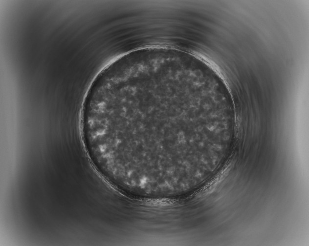 X0000093461045200711091546