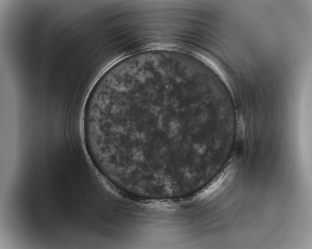 X0000093461050200711091546