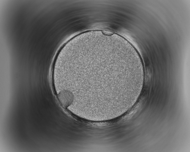 X0000093461053200711091546