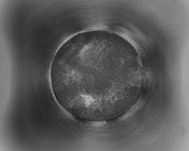 X0000093461055200711091546