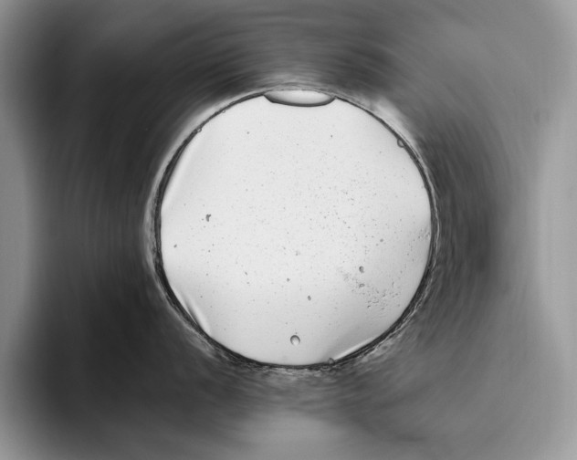 X0000093461056200711091546