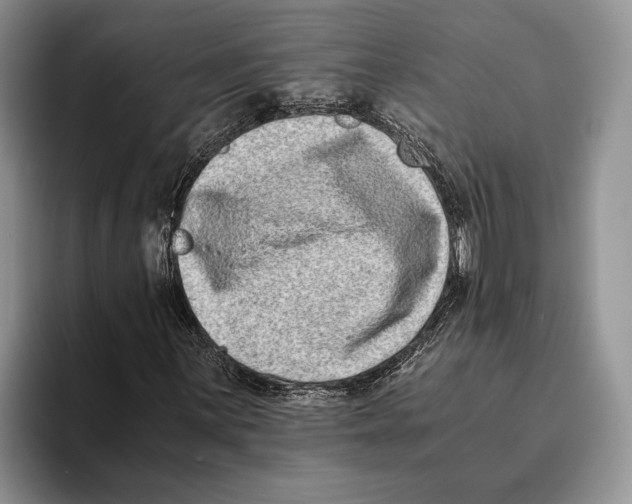 X0000093461059200711091545