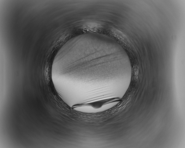 X0000093461060200711091545